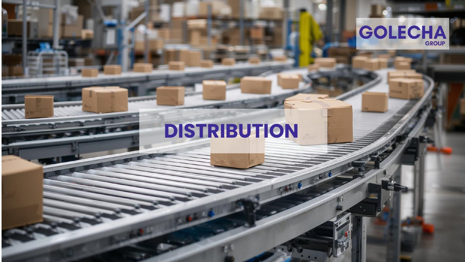 Distribution